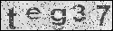 human verification image