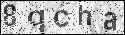 human verification image