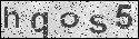 human verification image
