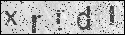 human verification image