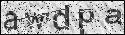 human verification image