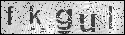 human verification image