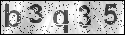human verification image