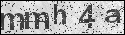 human verification image