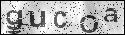 human verification image