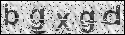 human verification image