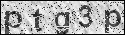human verification image