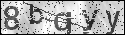 human verification image
