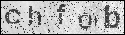 human verification image