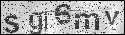 human verification image
