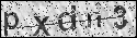 human verification image