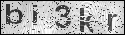 human verification image