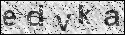human verification image