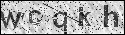 human verification image