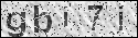 human verification image