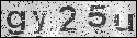 human verification image
