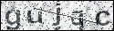 human verification image