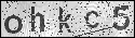 human verification image