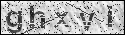 human verification image