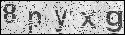 human verification image
