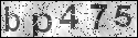 human verification image