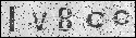 human verification image