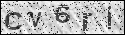 human verification image