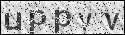 human verification image