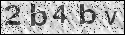 human verification image