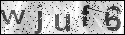 human verification image