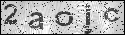human verification image