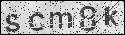 human verification image