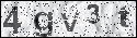 human verification image