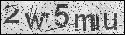 human verification image