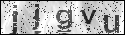 human verification image