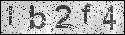 human verification image