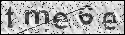 human verification image