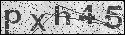 human verification image