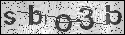 human verification image