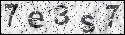 human verification image