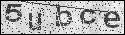 human verification image