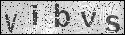 human verification image