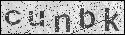 human verification image