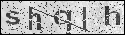 human verification image