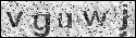 human verification image
