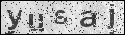 human verification image