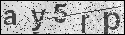 human verification image