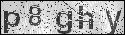 human verification image