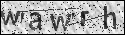 human verification image