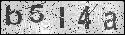 human verification image